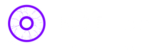 Ndtlabreporting Logo Full